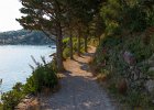 2018 08-IMG 4096 : Cavtat